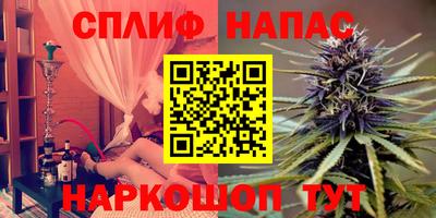 сатива Будённовск