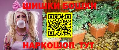 сатива Будённовск