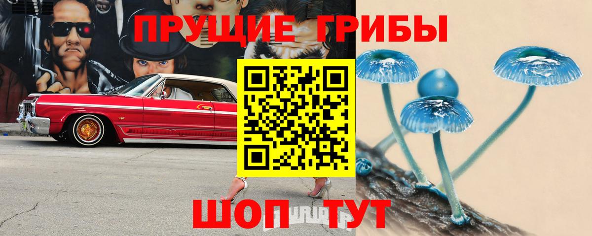 закладка  Псилоцибиновые грибы GOLDEN TEACHER  Вход с VPN  Ноябрьск 